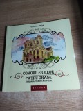 Comorile celor patru orase. Timisoara povestita copiilor - Florina Jinga (2014)