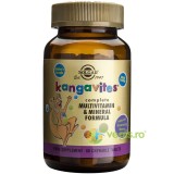 Kangavites Multivitamin &amp; Mineral Formula Berry 60cps