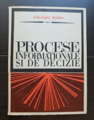 Procese informaționale și de decizie &icirc;n economie - Gheorghe Boldur