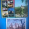 HOPCT LOT 3548 - 3 CARTI POSTALE-CASTELUL BRAN -JUD-BRASOV-NECIRCULATE