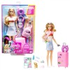 Papusa Barbie Malibu Travel Set cu Accesorii, Catel, Valiza &amp; Sticker-e, 3 ani+, Multicolor