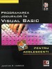 PROGRAMAREA JOCURILOR IN VISUAL BASIC - JONATHAN S. HARBOUR, 2006, CD INCLUS