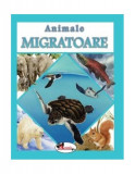 Animale migratoare - Paperback brosat - *** - Aramis