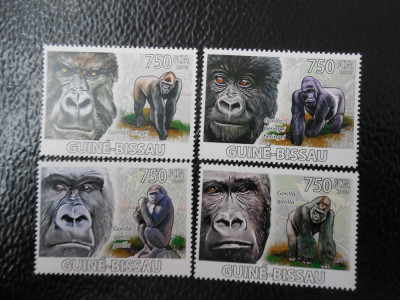 Guineea Bissau -Fauna ,gorile-serie completa ,MNH foto