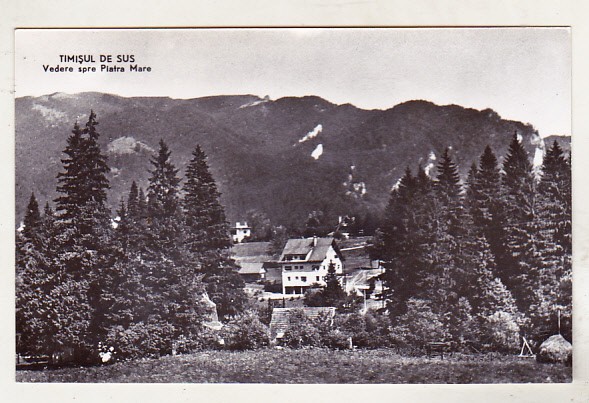 bnk cp Timisul de Sus - Vedere spre Piatra Mare - uzata