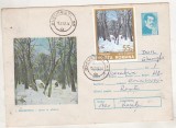 bnk ip Intreg postal 1975 - I Andreescu - Iarna in padure - cod 0243/75