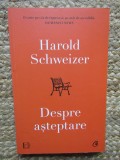 Despre asteptare - Harold Schweizer