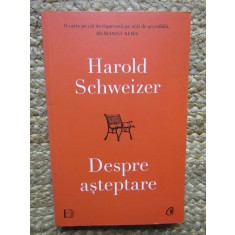 Despre asteptare - Harold Schweizer