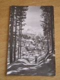 QW27 S - Carte postala - tematica turism - vedere - Sinaia 30 - 1964