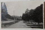 Carte Postala, Slanic Moldova, Aleea Principala si Cazinoul Regal, 1937