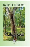 Fantana vietii - Gabriel Burlacu