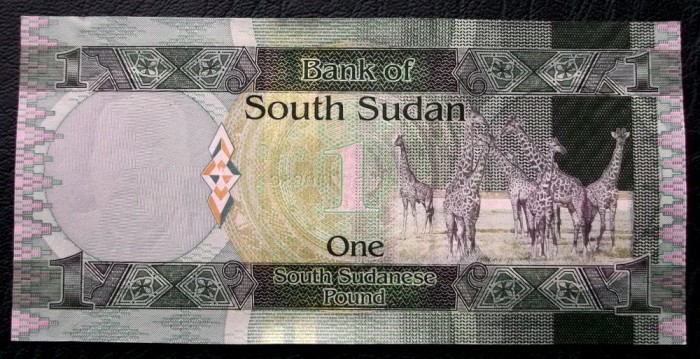 South Sudan 1 Pound ND 2011 fauna girafe UNC necirculata **