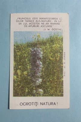 Calendar 1981 ocrotiți natura foto