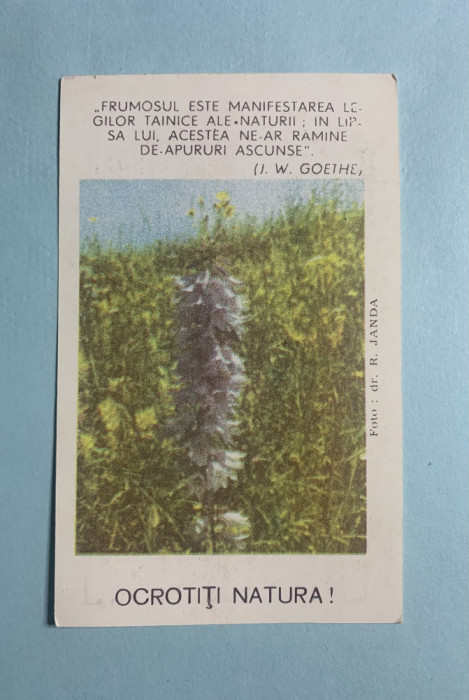 Calendar 1981 ocrotiți natura