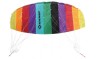 Zmeu Acrobatic Schildkrot Dual Line Sport Kite, 125x55cm, Poliester, Multicolor, Fara Baterii, 5+ Ani, Resigilat