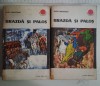 Brazda si palos- Radu Theodoru