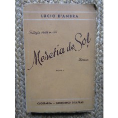 Meseria de sot &ndash; Lucio D&#039;Ambra