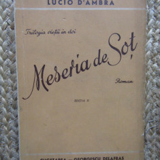 Meseria de sot – Lucio D'Ambra