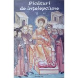 PICATURI DE INTELEPCIUNE-STEFAN NUTESCU-237610