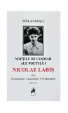 Nopțile de coșmar ale poetului Nicolae Labiș - Paperback brosat - Stela Covaci - Tracus Arte