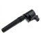 Bobina de inductie Jaguar S-Type 4.0, 4.2 2002-2007, Xj 3.2, 4.0 1997-2003, Lincoln Ls 3.9 1998-, 2W4Z-12029-BD