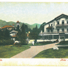 515 - SINAIA, Prahova, Hotel, Romania - old postcard - unused