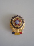 QW9 L 22 - Insigna - tematica comunism - merite deosebite intrecerea socialista, Romania de la 1950