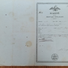 ROMANIA Valahia 1858 Act de Import Cereale prin vama si carantina Braila