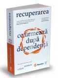 Recuperarea. Ce urmeaza dupa dependenta - Anca Barbulescu, Leslie Jamison