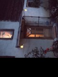Vand casa &amp; teren, 8000 mp. Info. 0741929870.