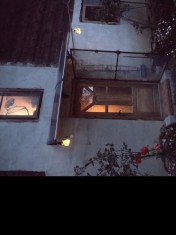 Vand casa &amp; teren, 8000 mp. Info. 0741929870.