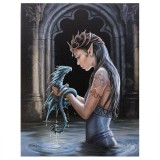 Tablou Canvas Anne Stokes Water Dragon 19x25cm Decor Gotic Fantasy Femeie Dragon