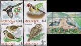 MOLDOVA 2010, Fauna, serie neuzata, MNH