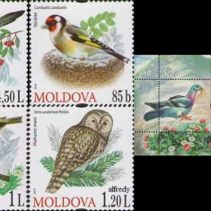 MOLDOVA 2010, Fauna, serie neuzata, MNH