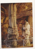 FA53-Carte Postala- SLOVENIA - Postojna Cave Park, necirculata 1968, Fotografie