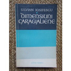 Silvian Iosifescu - Dimensiuni Caragialiene