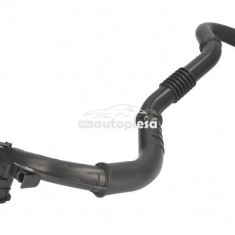 Furtun aer supraalimentare RENAULT MEGANE II (BM0/1, CM0/1) (2002 - 2011) THERMOTEC DCA029TT