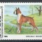 Monaco 1985 Mi 1680 MNH - Expoziție canină internațională, Monte Carlo