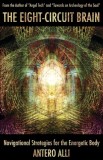 The Eight-Circuit Brain: Navigational Strategies for the Energetic Body