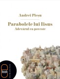Parabolele lui Iisus Adevarul ca poveste (epub)