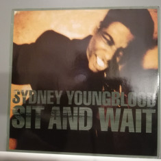 Sydney Youngblood – Sit And Wait (1989/Virgin/RFG) - Vinil/Vinyl/ ca Nou (M-)