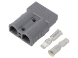 Conector Alimentare DC Hermafrodit AMPHENOL AXC508H8 600V 2 pini