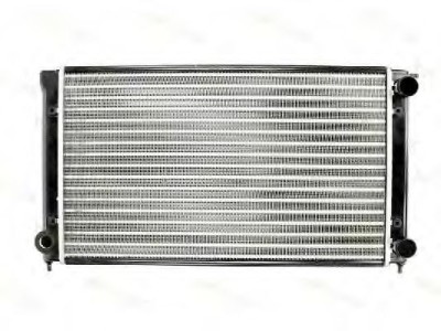 Radiator, racire motor SEAT TOLEDO I (1L) (1991 - 1999) THERMOTEC D7W020TT foto