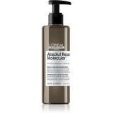 L&rsquo;Or&eacute;al Professionnel Serie Expert Absolut Repair Molecular ser pentru par deteriorat 250 ml