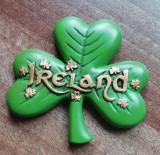 D4 - Magnet frigider - tematica turism - Irlanda 6