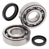 Cumpara ieftin Lagare cu arbore cotit set cu garnituri pentru SUZUKI LT 500 1987-1990