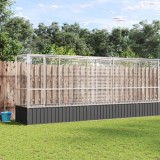 VidaXL Voliera păsări cu extensie, argintiu, 1250,5x107x212 cm, oțel
