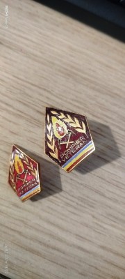 insigne pompieri 13 foto