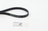Curea transmisie cu caneluri Acura Nsx; Audi A4 B6, A4 B7, A6 C6; Fiat Ducato, Ducato Sasiu; Mini Mini, Mini Clubman, Mini Clubvan, Mini Countryman