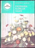 PASTRAREA FLORILOR TAIATE-ALEXANDRINA AMARIUTEI-288440